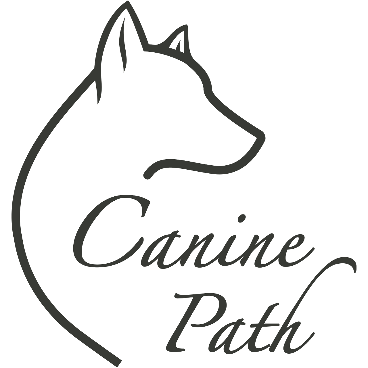 Canine Path - Los Angeles Pet Training