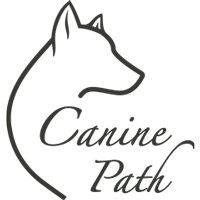 Canine Path - Dog Training, Los Angeles