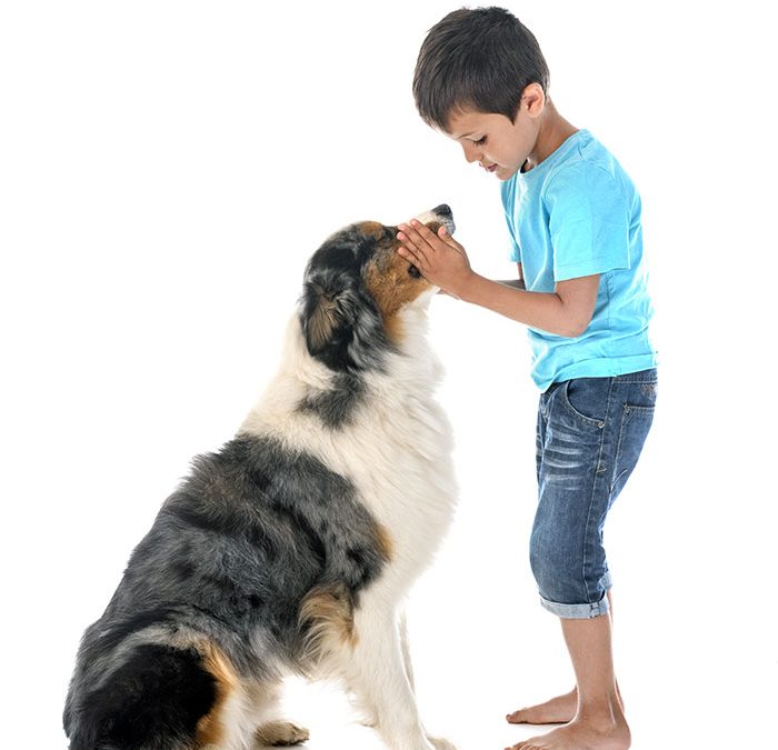 Canine Path private dog training lessons to teach pooches to be child-friendly Canine Path offers private dog training services for Manhattan Beach, Hermosa Beach, Redondo Beach, Torrance, El Segundo, Playa Del Rey, Marina Del Rey, Gardena, Wilmington, San Pedro, Westchester, Carson, Lawndale, Hawthorne, Marina Del Rey, Playa Vista, Long Beach, Palo Verdes, West Los Angeles, and Culver City. CALL NOW: (310) 480-6773
