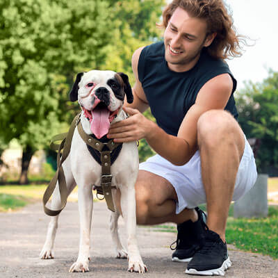 Using Positive Reinforcement for Dog Training in Torrance