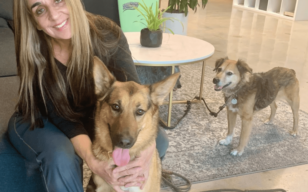 Common Dog Behavioral Problems