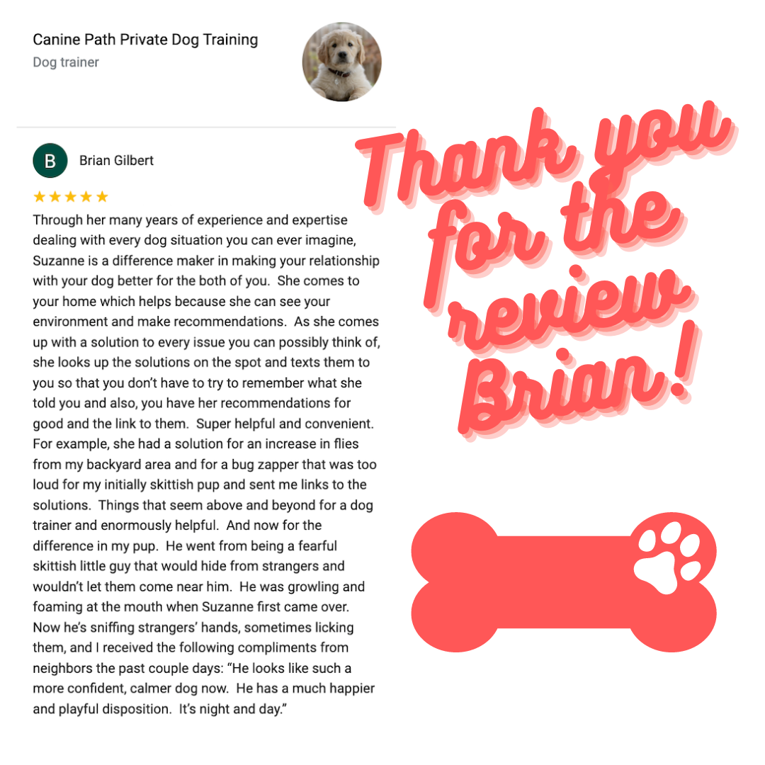 Canine Path is delighted to receive this five-star Google review from a satisfied client who had excellent results with our private puppy training lessons. We offer dog training services for Manhattan Beach, Hermosa Beach, Redondo Beach, Torrance, El Segundo, Playa Del Rey, Marina Del Rey, Gardena, Wilmington, San Pedro, Westchester, Carson, Lawndale, Hawthorne, Marina Del Rey, Playa Vista, Long Beach, Palo Verdes, West Los Angeles, and Culver City. CALL NOW: (310) 480-6773