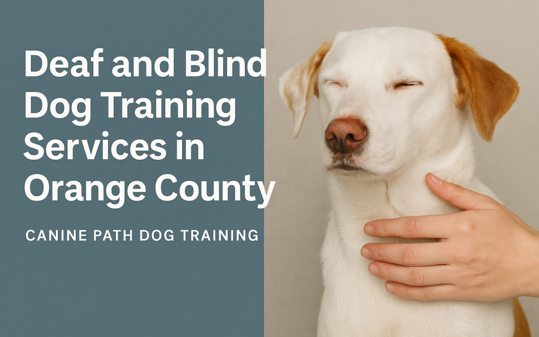 Deaf and Blind Dog Training in Orange County